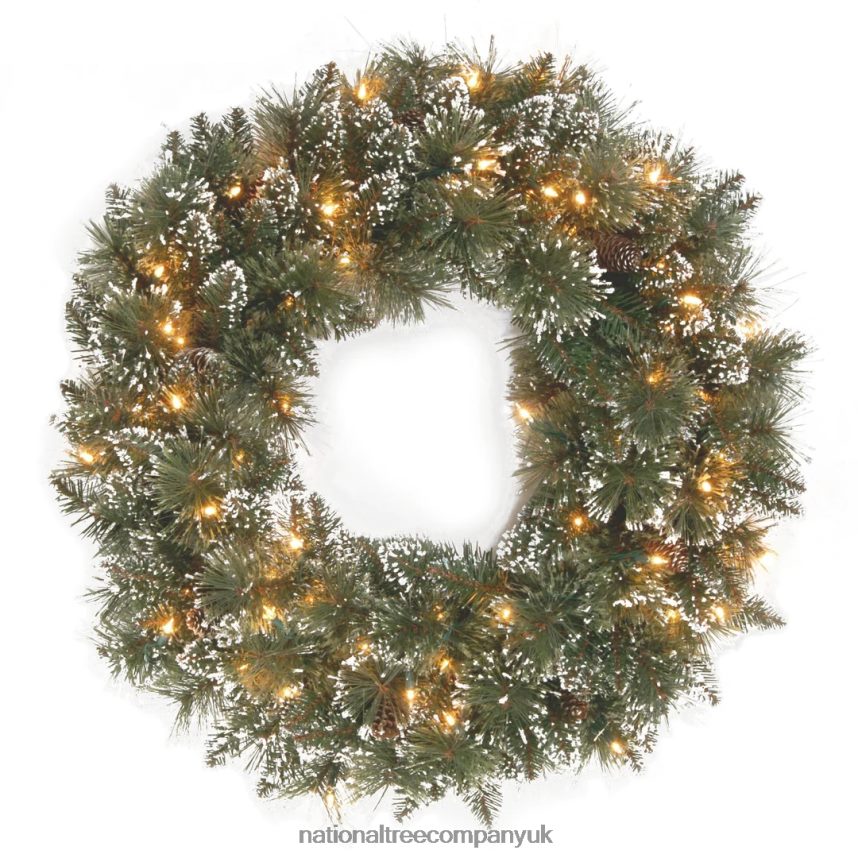 Greenery | National Tree Company Pre-Lit Artificial Christmas Wreath Green Glittery Bristle Pine White Lights Decorated with Frosted Branches Pine Cones Christmas Collection 24 Inches F2L4F222